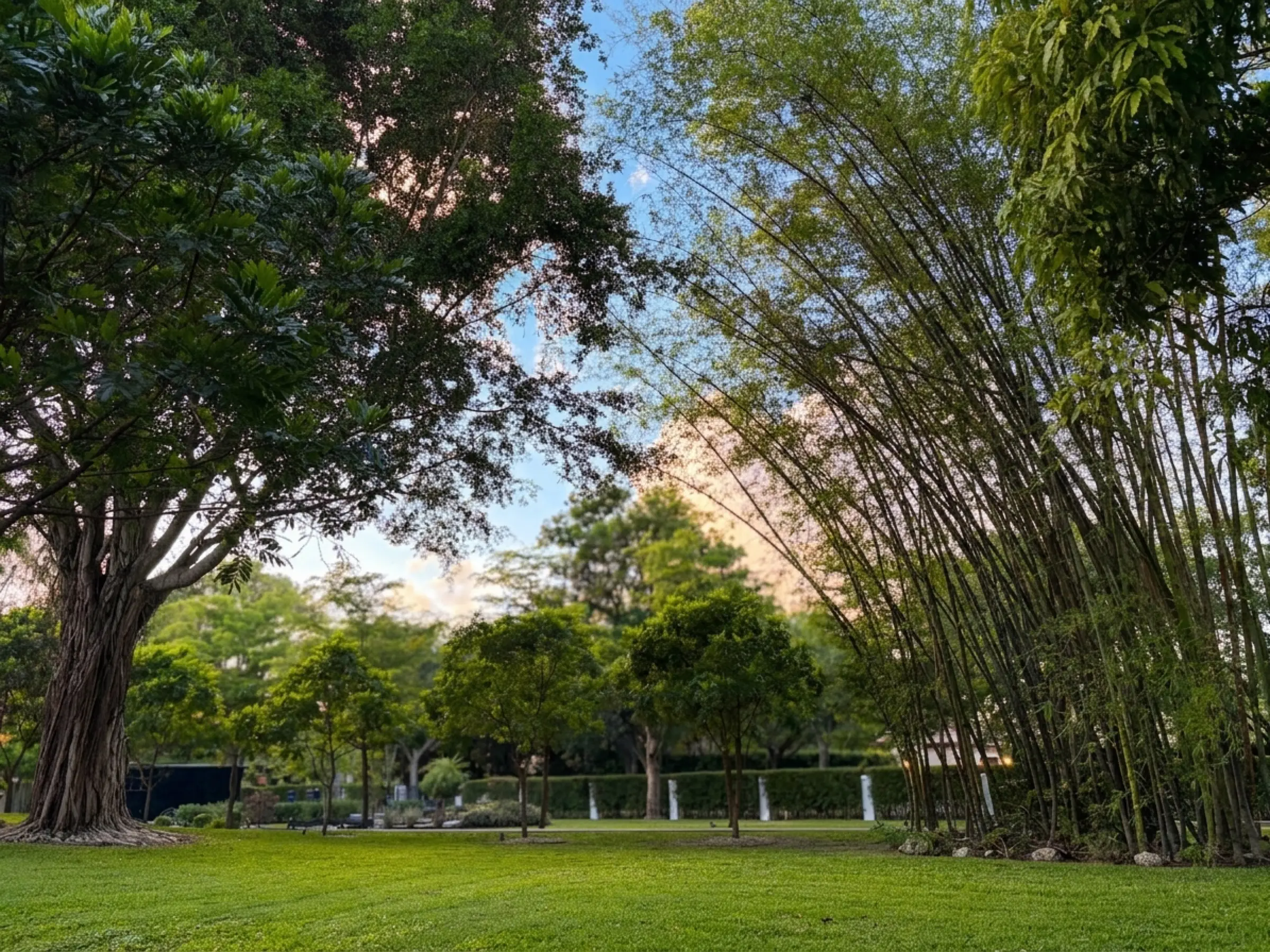 Southwest corner of the two-acre estate, wide grounds and mature trees